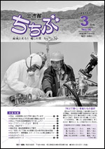 市報ちちぶ(平成25年3月号)表紙